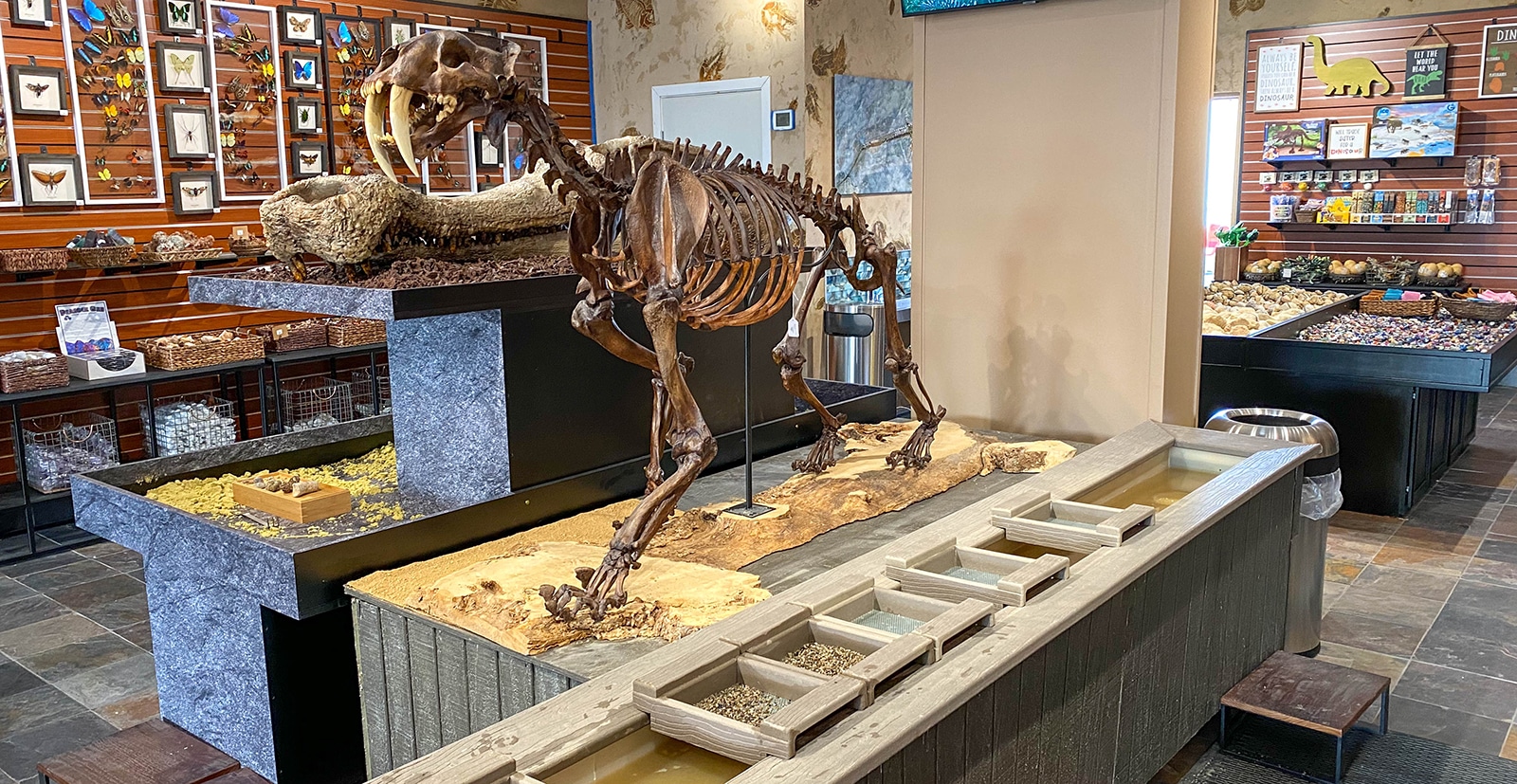 Tyrannostorus has high-end relics and replicas for science and history enthusiasts.